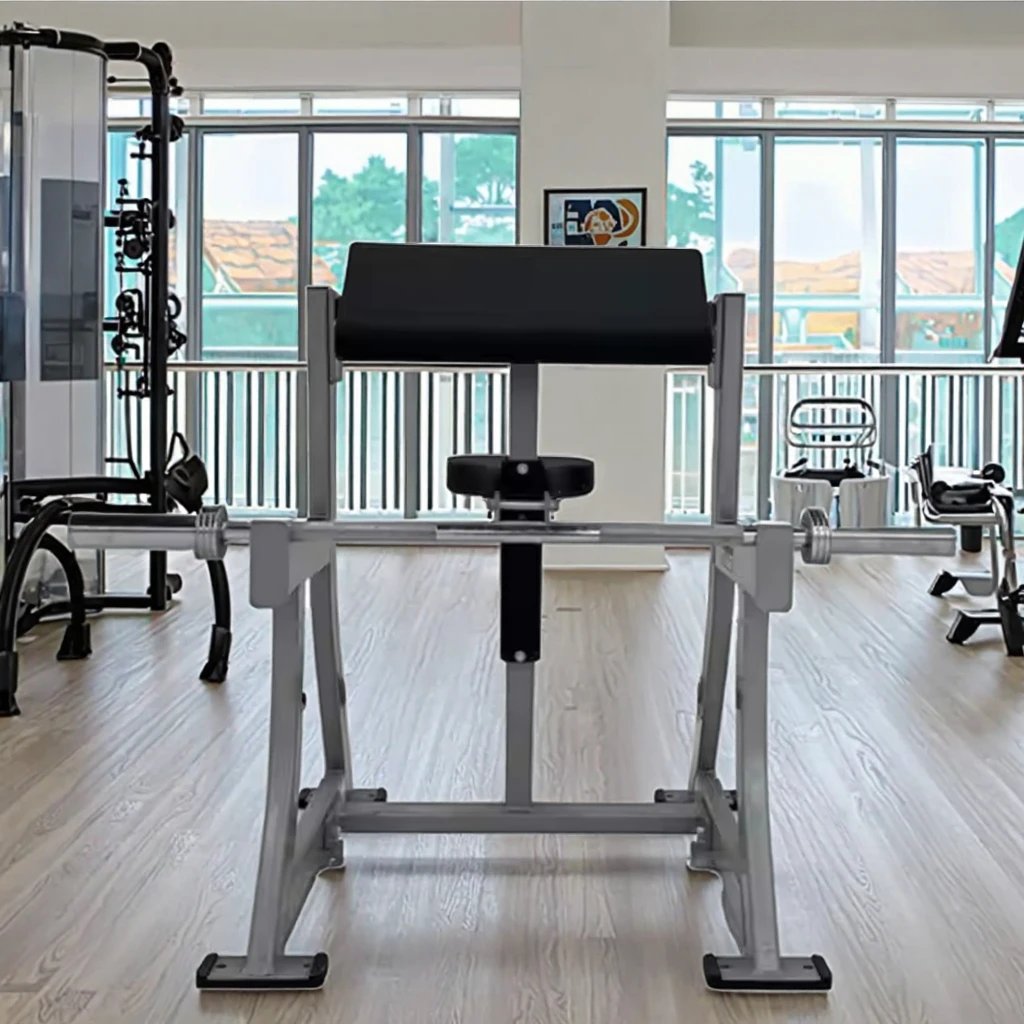 Adjustable Seated Biceps Curl Machine with Galvanized Steel Frame for Gym Strength Training