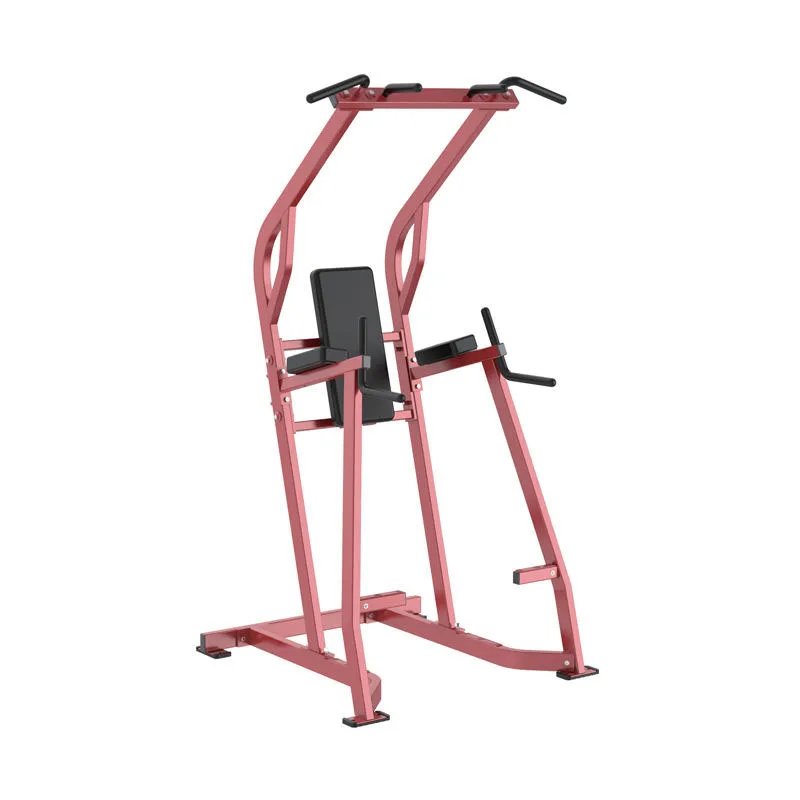 Multi Function Steel Gym Machine 200kg Capacity for Commercial Chin Dip Leg Raise