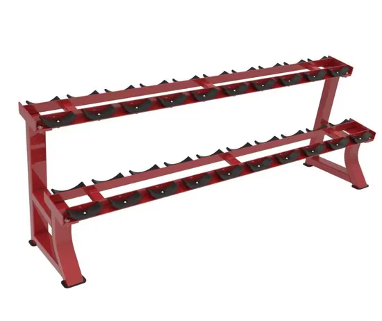 China Steel Dumbbell Rack H5070 for Gym Exercise