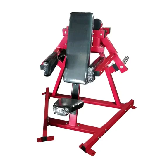 Commercial Lateral Raise Machine 5010 for Gym Fitness