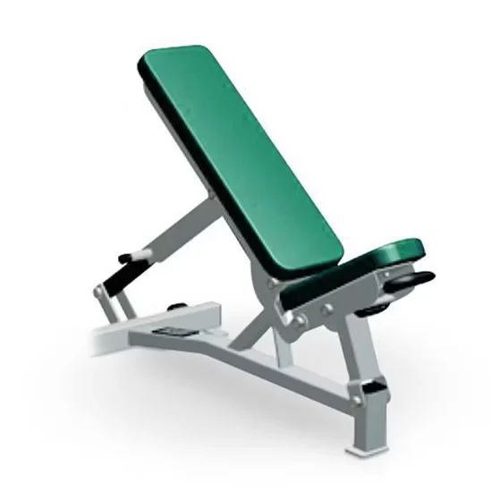 Multifunctional Adjustable Bench 5069 for Gym Equipment