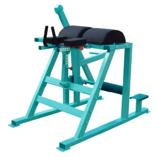 Plate Loaded Reverse Hyper Extension 5073 for Commercial Gyms