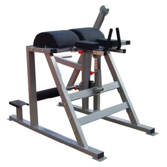 Reverse Hyper Extension Machine for Gym Equipment