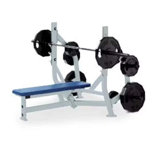 Utility Gym Bench with Weight Storage for Commercial Gym